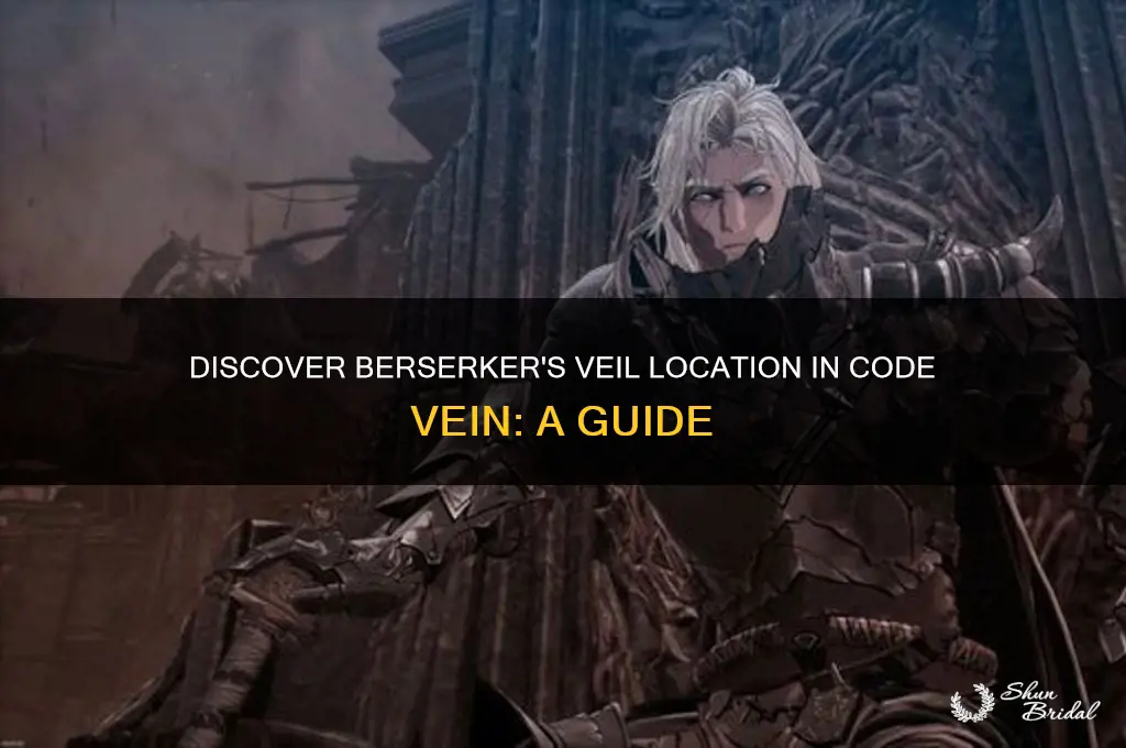 where to get berserkers veil in code vein