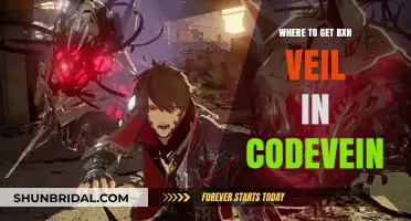 Discover the Best Locations to Obtain the BXH Veil in Code Vein