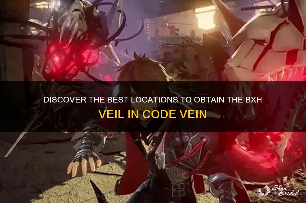 where to get bxh veil in codevein
