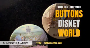 Honeymoon Buttons: Disney World's Sweetest Souvenirs