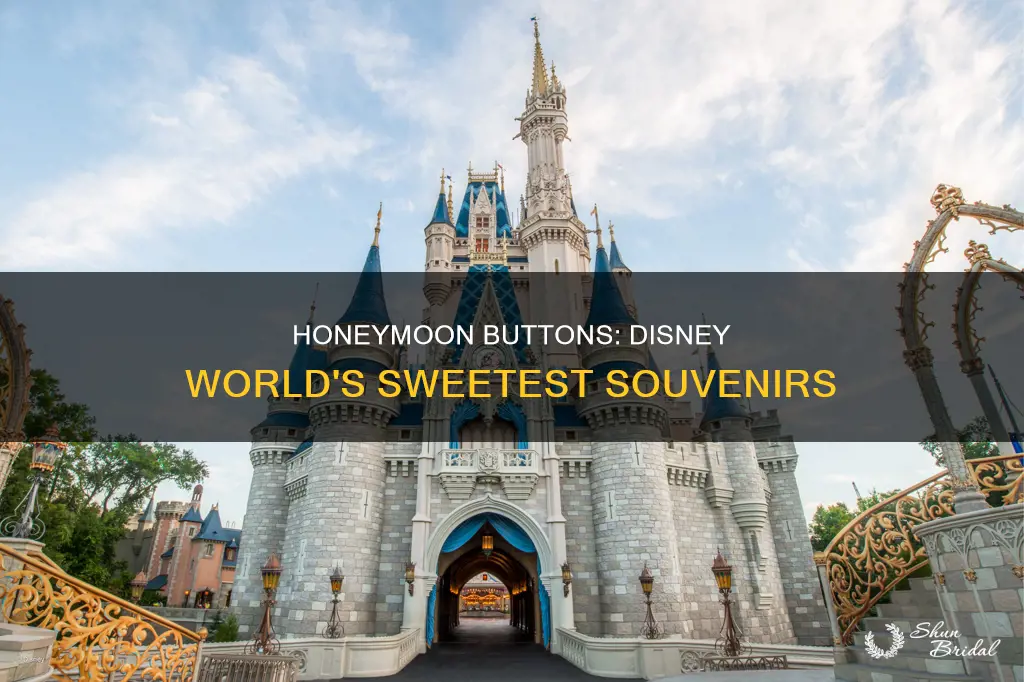 where to get honeymoon buttons disney world