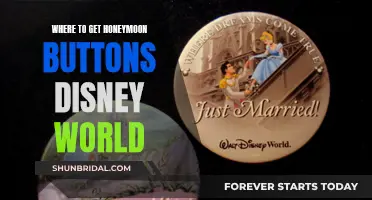 Honeymoon Buttons: Where to Get Them at Disney World