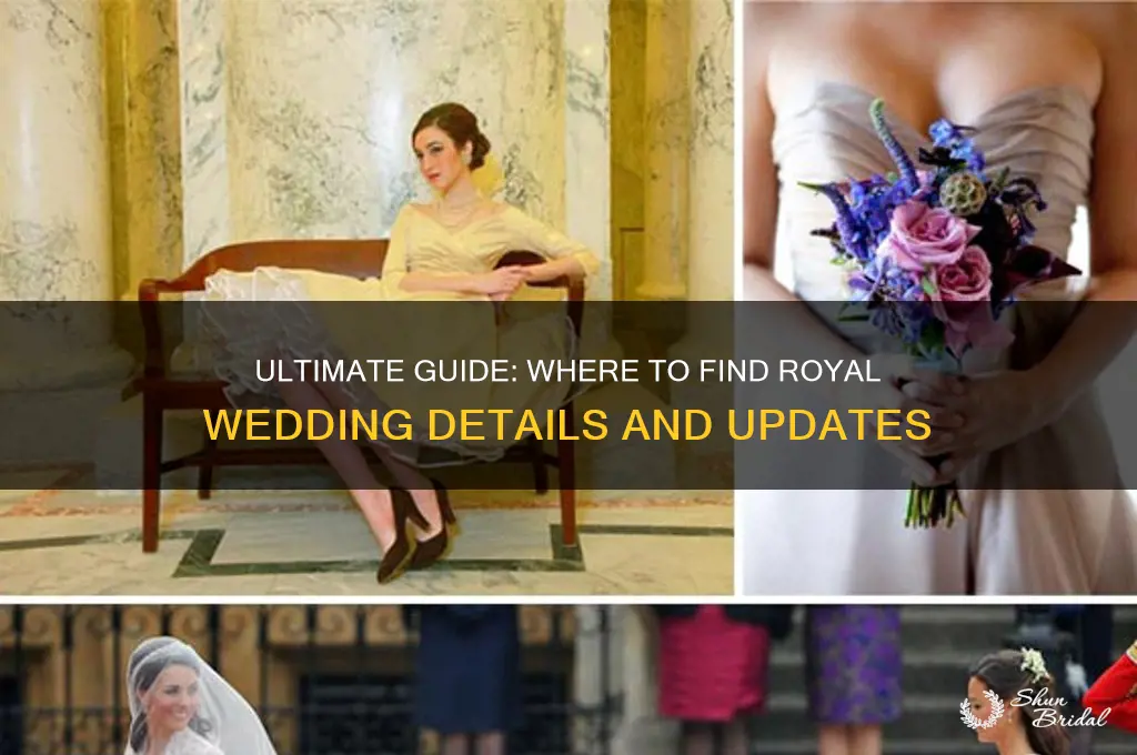 where to get royal wedding info
