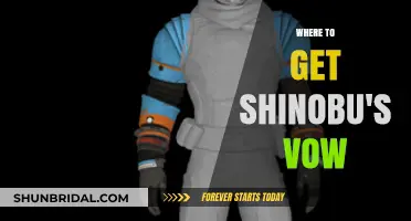 Discover Shinobu's Vow: Top Locations to Obtain This Powerful Artifact