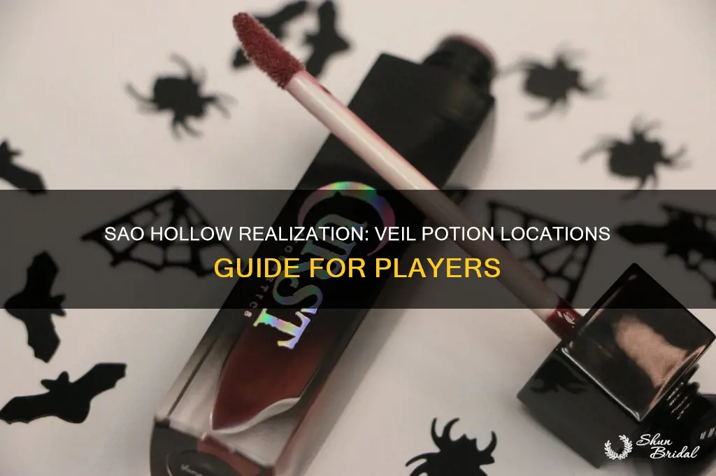 where to get veil potions on sao hollow realization