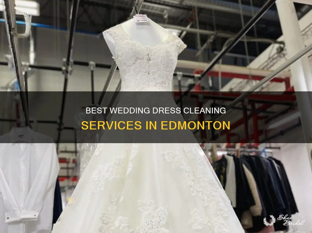 where to get wedding dress cleaned in edmonton