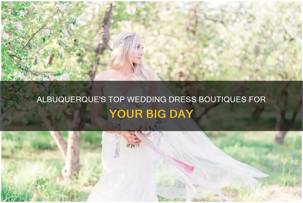 where to get wedding dresses in albuquerque