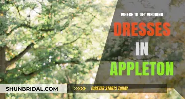 Appleton's Best Wedding Dress Boutiques
