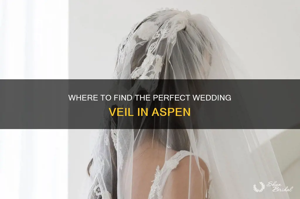 where to get wedding veil aspen