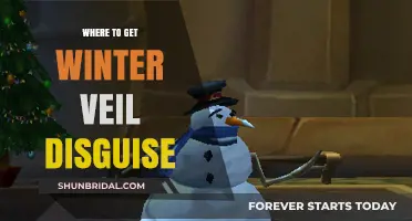 Winter Veil Disguise Guide: Best Locations to Find Festive Attire
