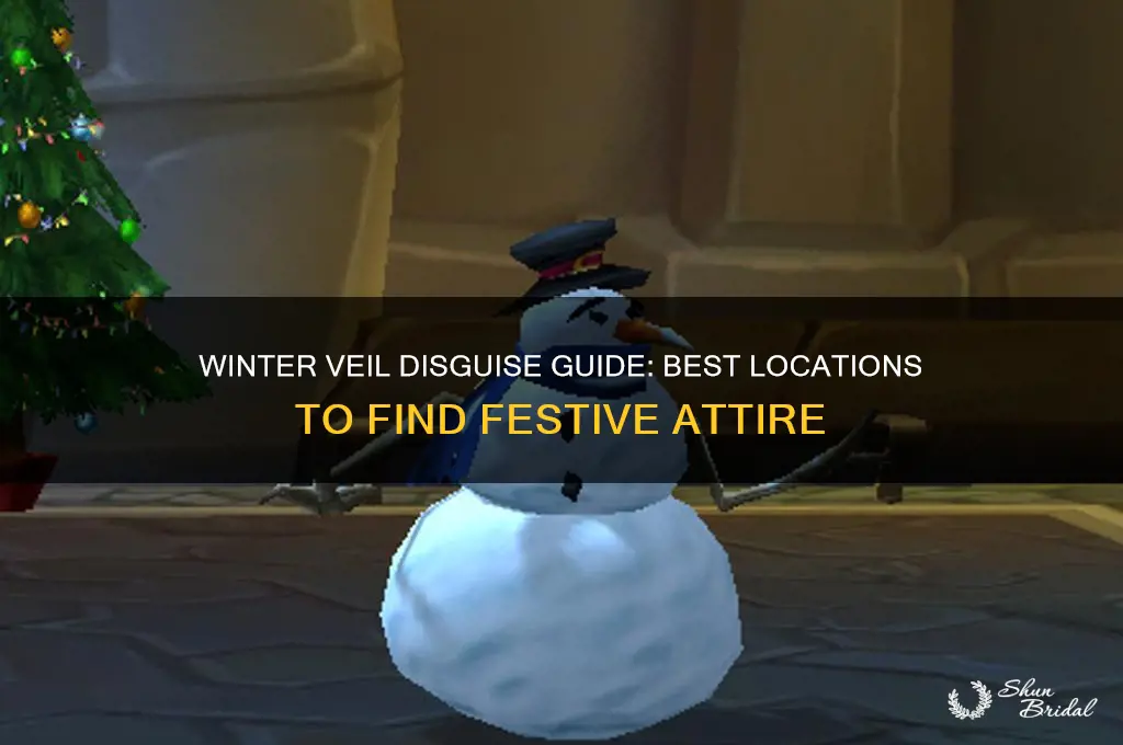 where to get winter veil disguise