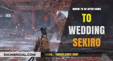 Post-Wedding Sekiro Adventure: Top Destinations to Explore Next