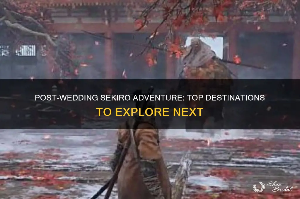 where to go after going to wedding sekiro