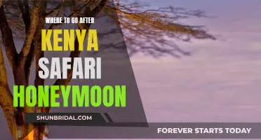 Honeymooners' Guide: Best Destinations Post-Kenya Safari