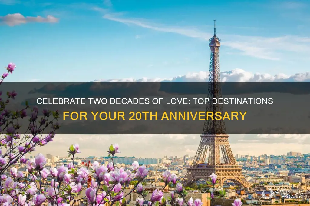 where to go for 20 year wedding anniversary