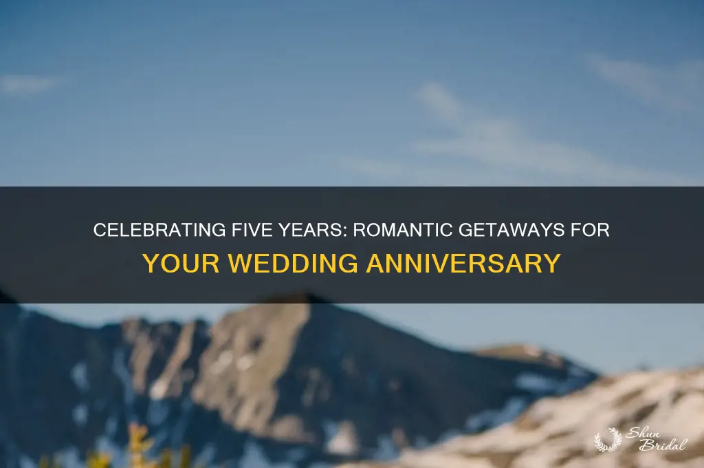 where to go for 5 year wedding anniversary