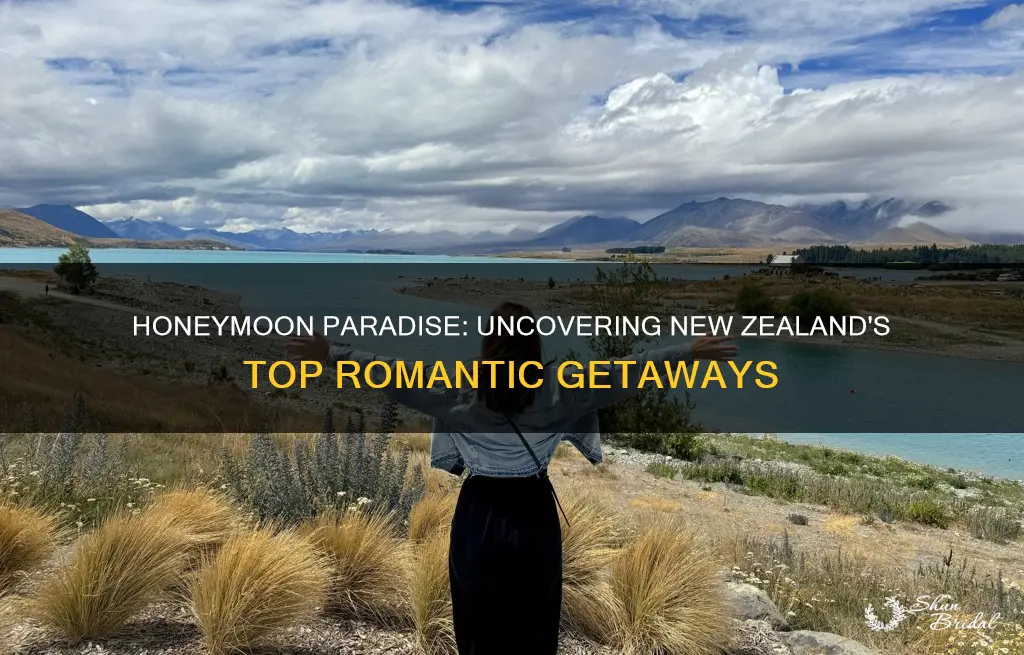 where to go for a new zealand honeymoon