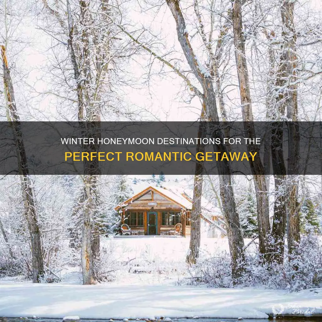where to go for a winter honeymoon