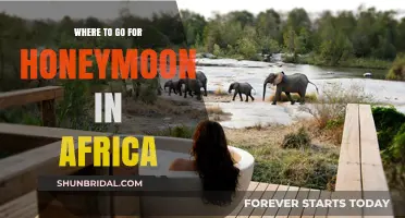 Romantic African Honeymoon Destinations: Top Spots for Newlyweds to Explore