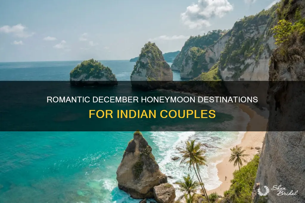 where to go for honeymoon in december from india