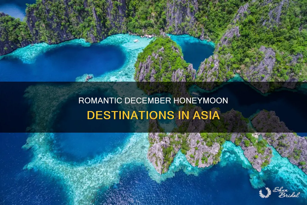 where to go for honeymoon in december in asia