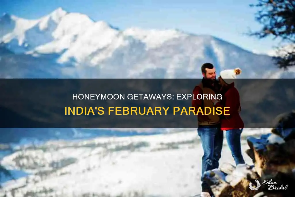 where to go for honeymoon in February in india