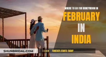 Romantic February Honeymoons in India: Where to Go?