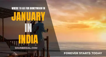 Romantic January: Honeymoon Destinations in India
