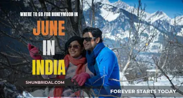 Honeymoon Getaways: Exploring India's June Paradise