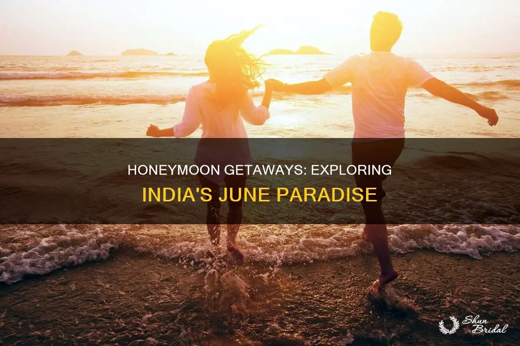 where to go for honeymoon in june in india