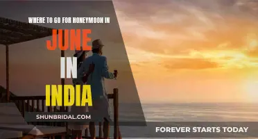 Honeymoon in June: Exploring India's Romantic Destinations