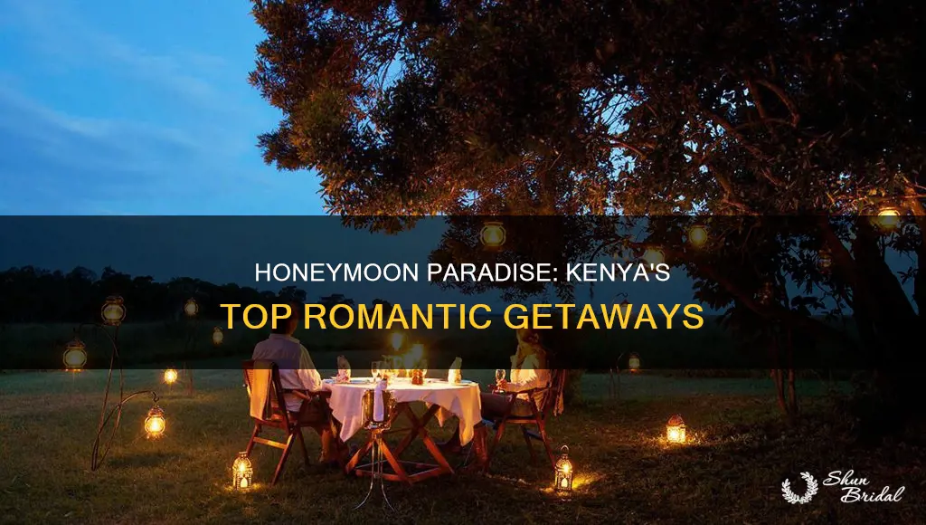 where to go for honeymoon in kenya