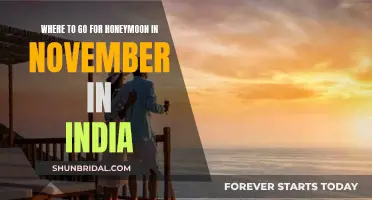 Honeymoon in November: Romantic Escapes in India