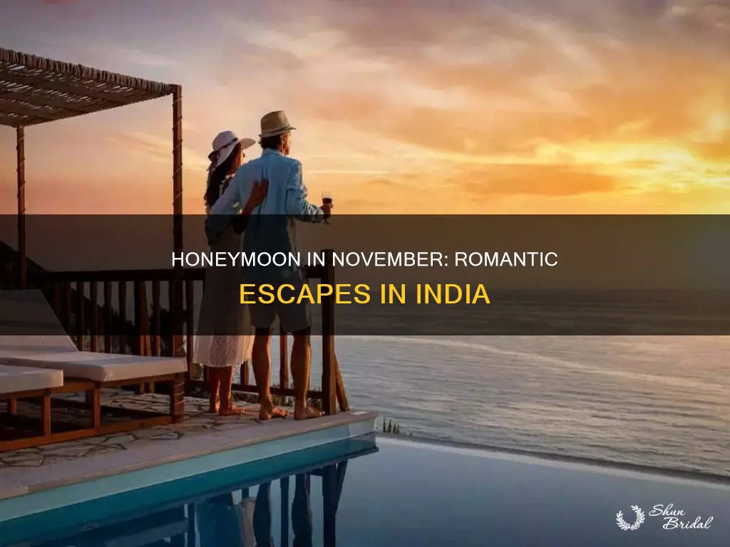 where to go for honeymoon in november in india