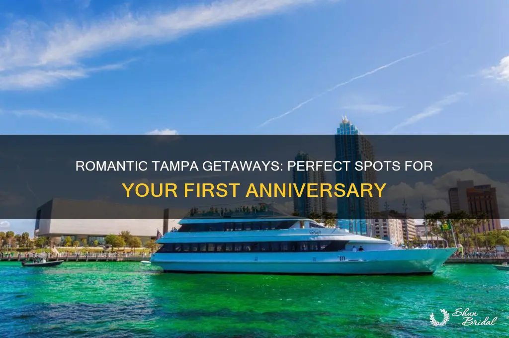where to go for one year wedding anniversary in tampa