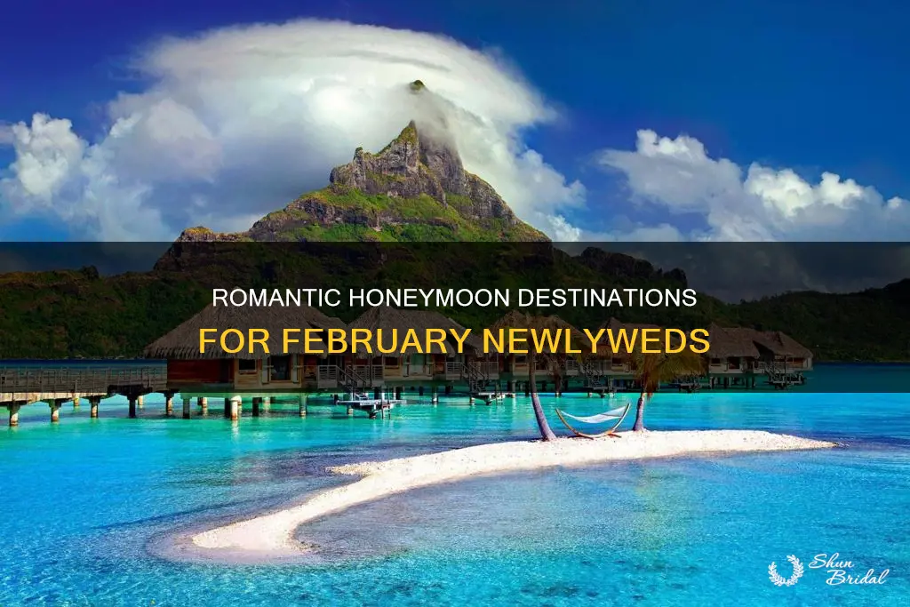 where to go honeymoon in February