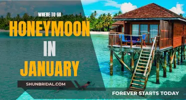 Honeymoon Getaways: January's Best Kept Secrets for a Winter Escape