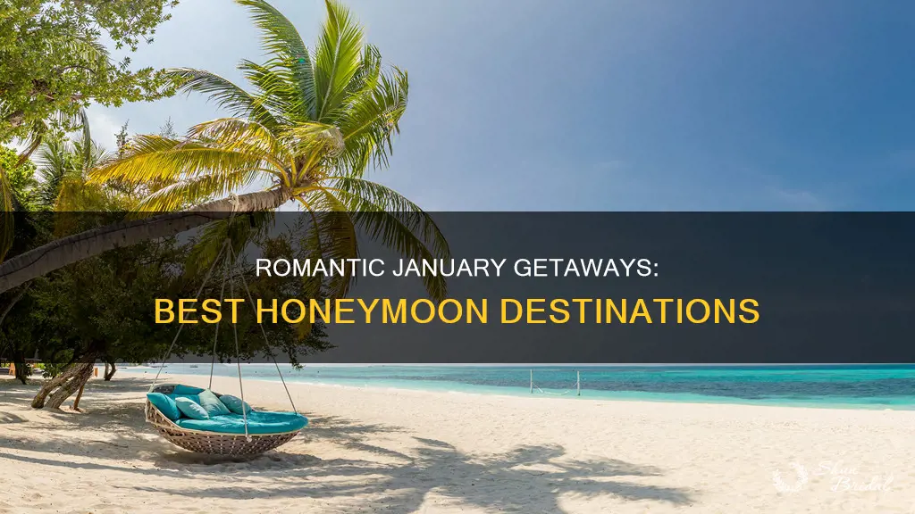 where to go honeymoon in january