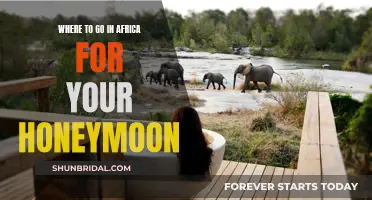 The Perfect African Honeymoon Destinations for Newlyweds
