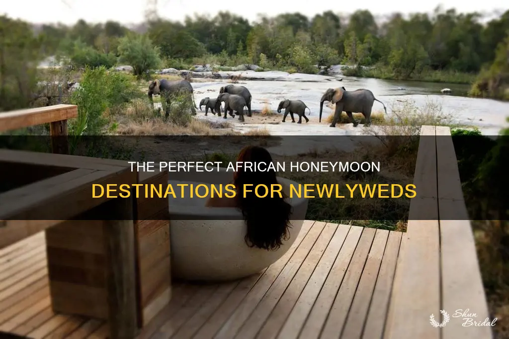 where to go in africa for your honeymoon