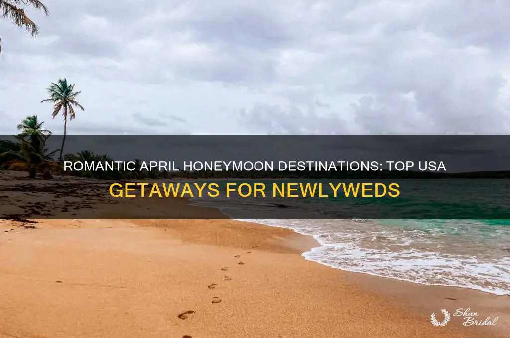where to go in april for honeymoon in usa