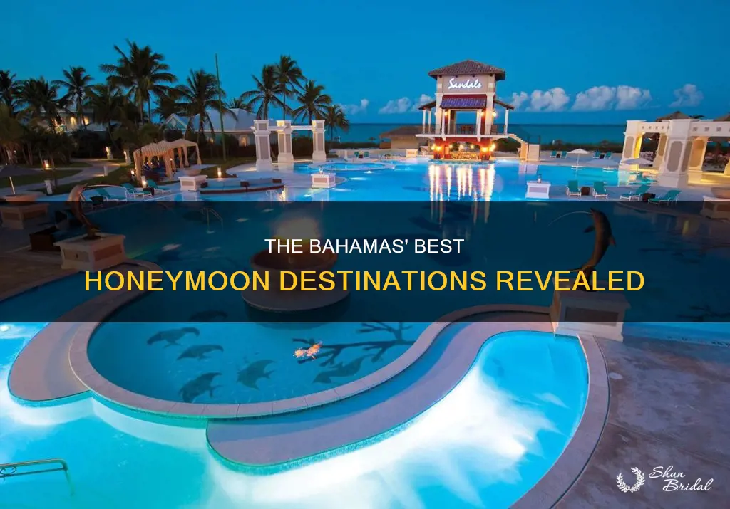 where to go in bahamas for honeymoon