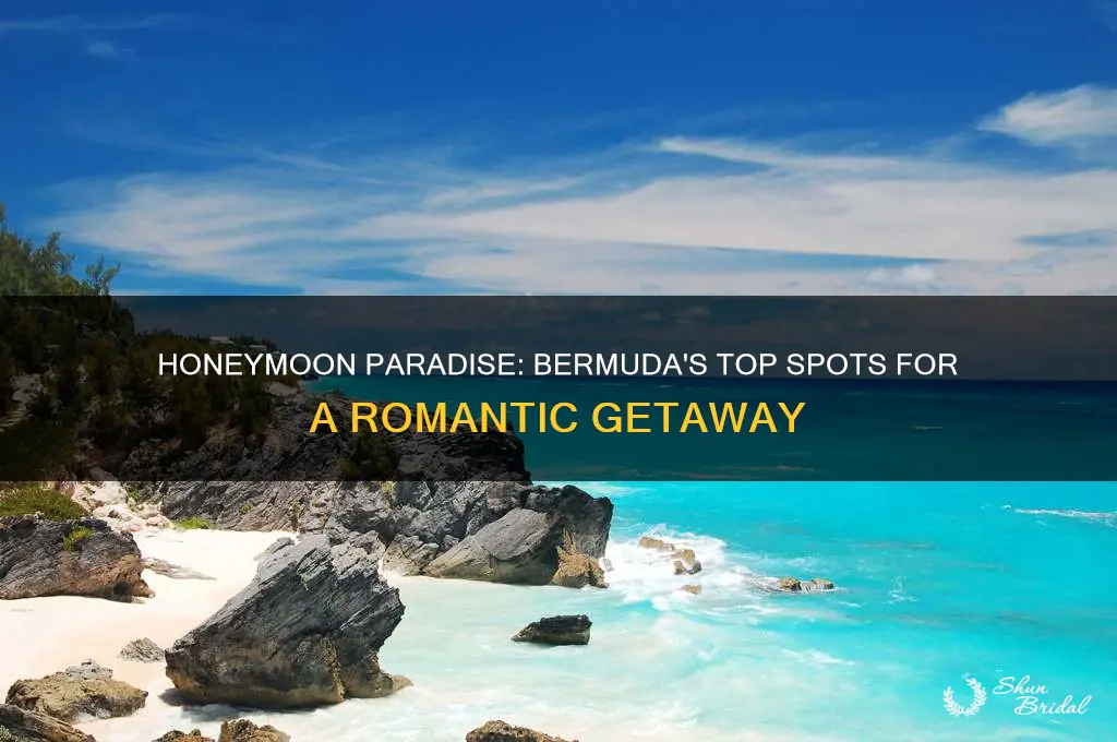 where to go in bermuda for a honeymoon