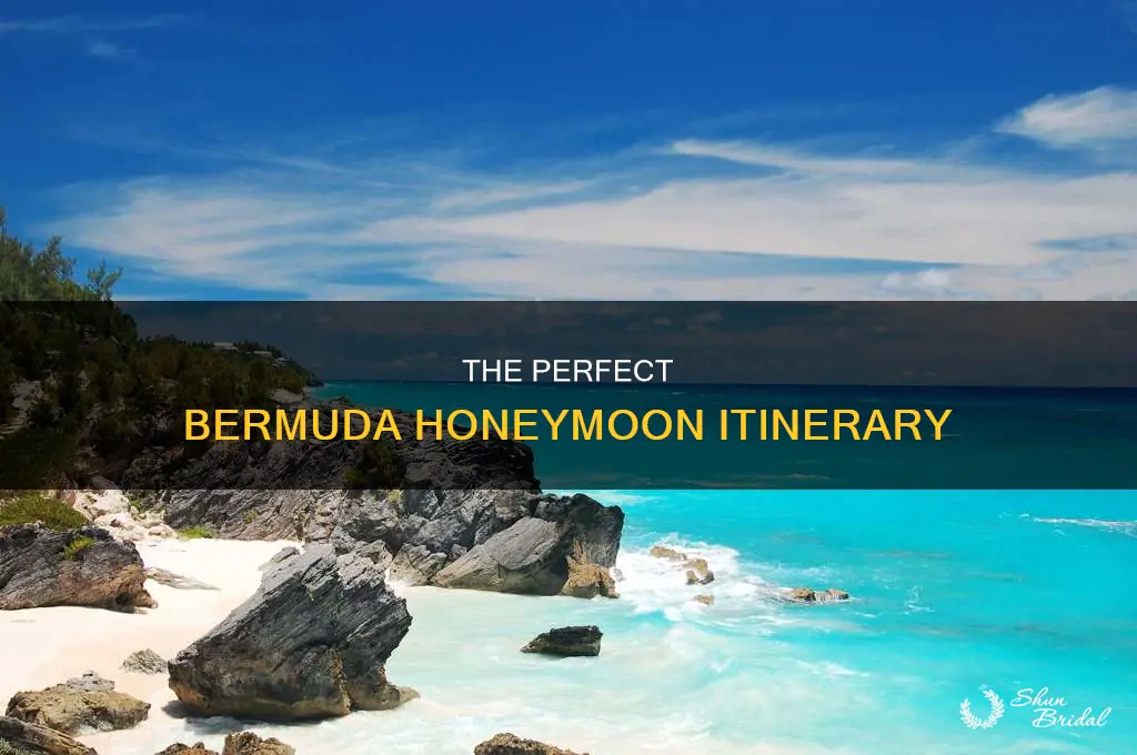 where to go in bermuda for a honeymoon