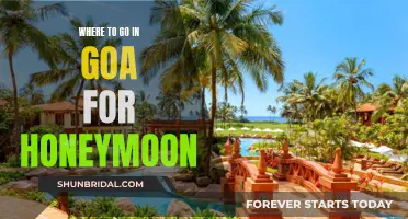 Honeymoon Hideaways: Top 5 Romantic Getaways in Goa