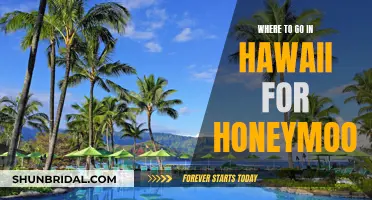 Hawaii's Honeymoon Hotspots: Where Romance Meets Adventure