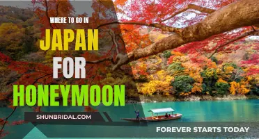 Exploring Japan's Honeymoon Havens: Where Romance and Adventure Meet