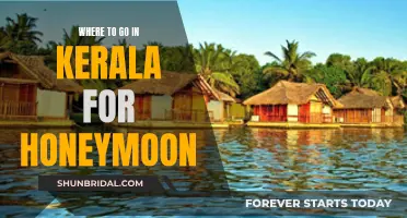 Honeymoon in Kerala: Best Destinations for Newlyweds