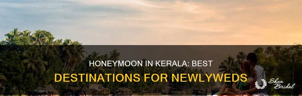where to go in kerala for honeymoon