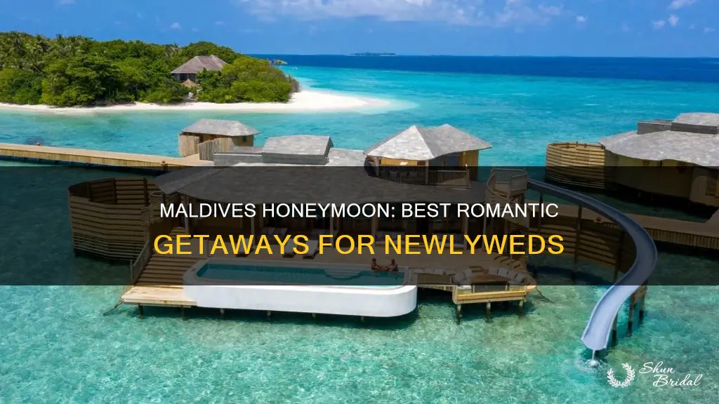 where to go in maldives for honeymoon